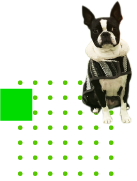 WAKU-WAKUへようこそ